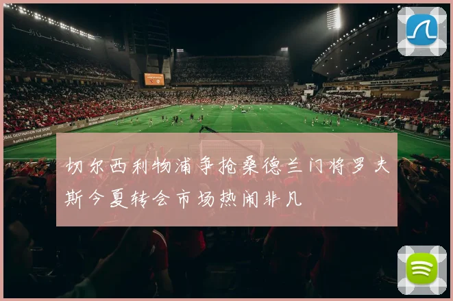 切尔西利物浦争抢桑德兰门将罗夫斯今夏转会市场热闹非凡