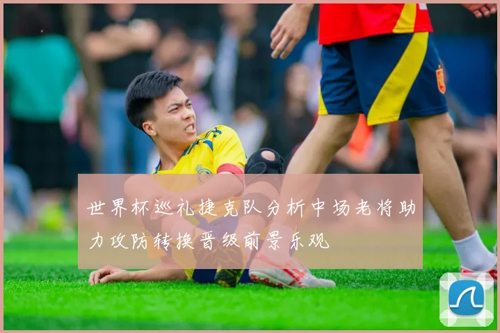 世界杯巡礼捷克队分析中场老将助力攻防转换晋级前景乐观